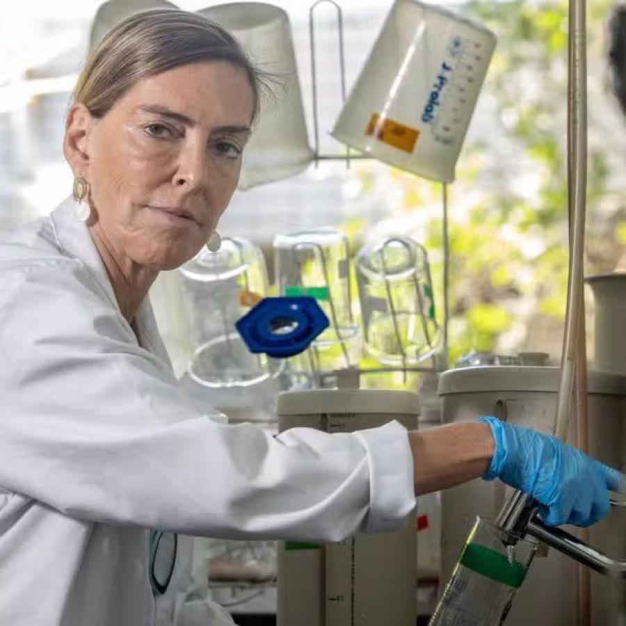 Polilaminina: Patente Perdida no Exterior